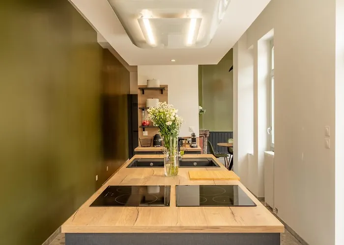 Maison Mimerel Colodge Appart hôtel Roubaix