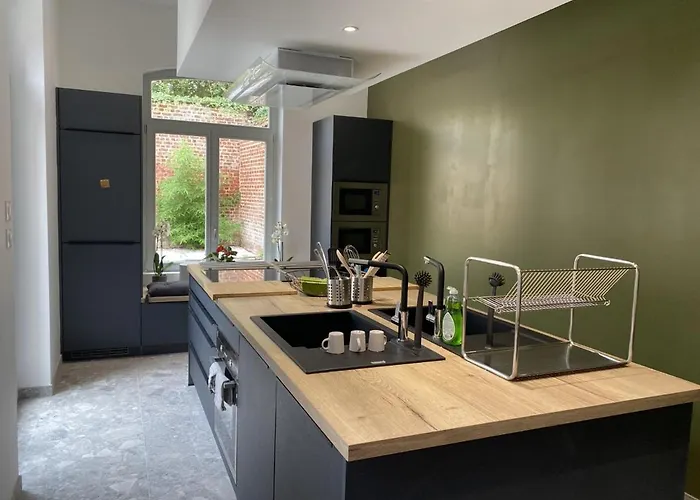 Maison Mimerel Colodge Appart hôtel Roubaix